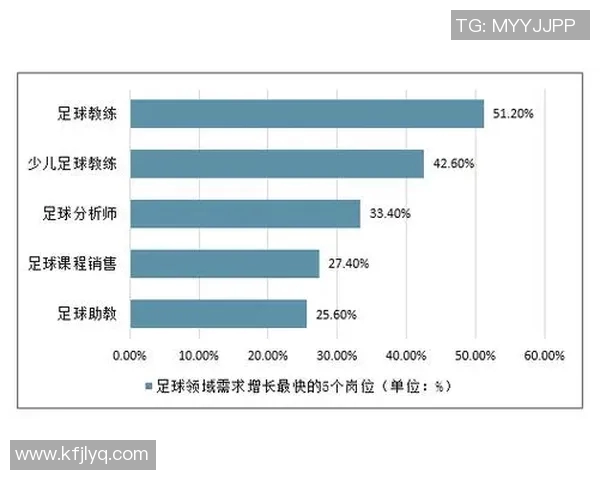 南京足球队配合表现的数据分析与战术研究探讨
