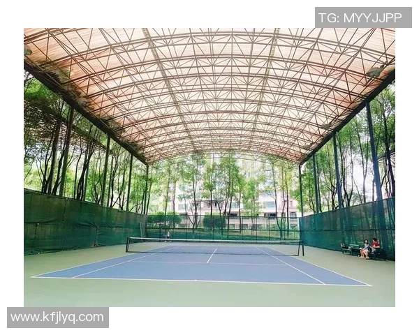 重庆网球队转型之路揭秘:从传统到现代的华丽蜕变与挑战 重庆网球队转型之路揭秘:从传统到现代的华丽蜕变与挑战