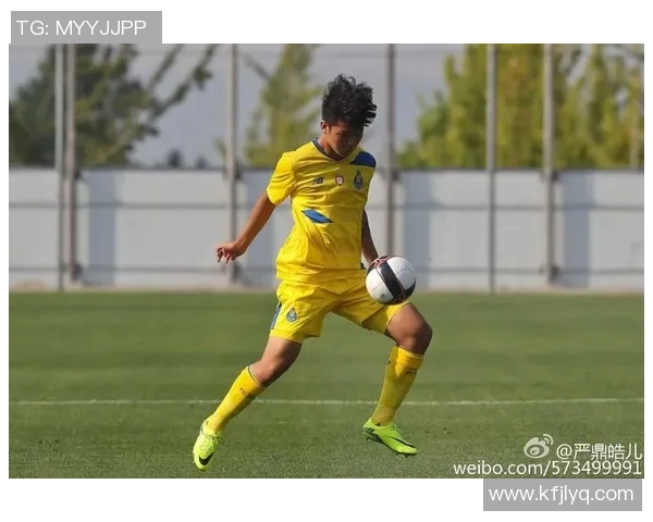 桑德兰对阵布流浪精彩直播全程回顾与赛后分析