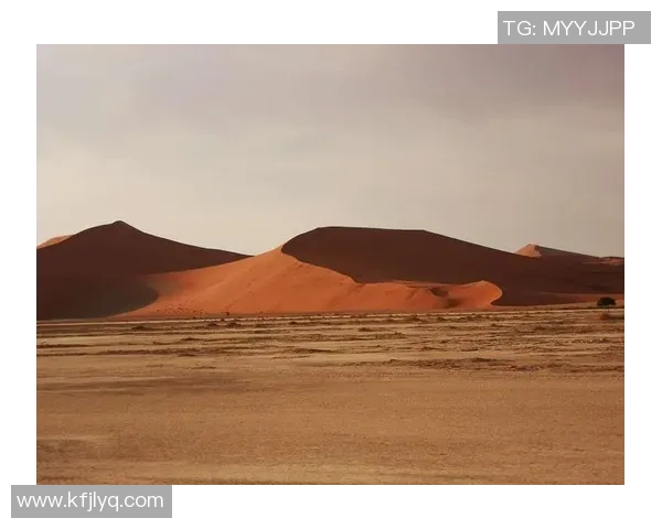 南非与纳米比亚激战正酣谁能在这场较量中笑到最后